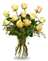 A Dozen Yellow Roses