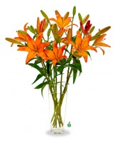 Lovely Lilies