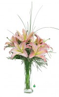 Stunning Lilies