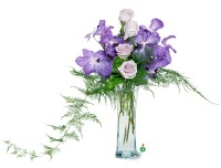 Orchids and Roses