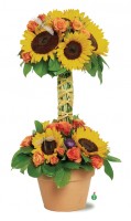Dragonfly Sunflowers
