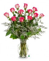A Dozen Bi-Colored Roses