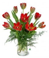 Parrot Tulips