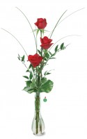 Red Rose Trio