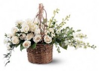 Basket of Light