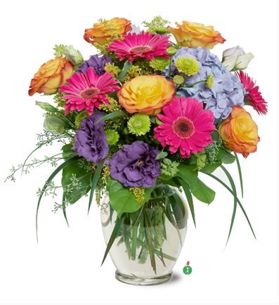 Shop The Ivy Green's Best Sellers glorious-garden-about-us.jpg