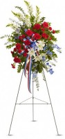 Patriotic Spray