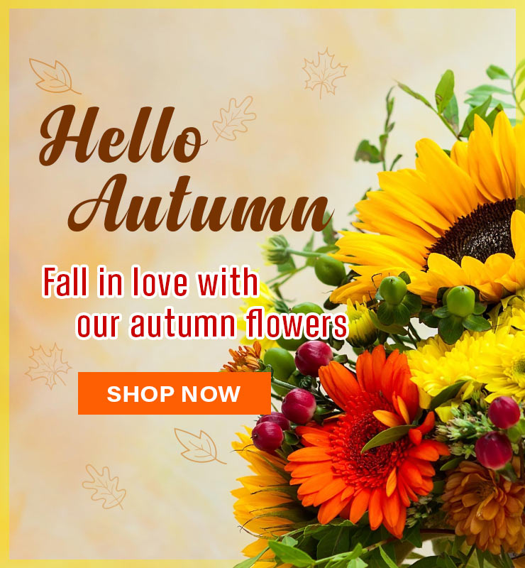 Fall Flowers