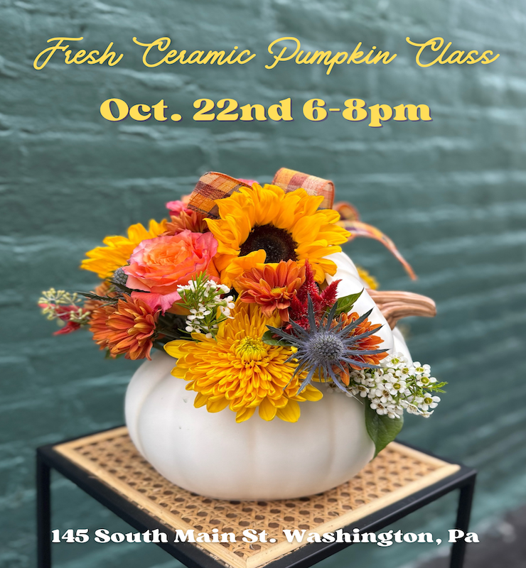 Pumpkin Class Workshop